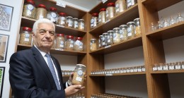Ata tohumları topraktan sofraya ulaşıyor