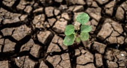 Deprem Korkusu Nasıl Yenilir?
