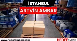 Artvin Nakliyat ve Depolama Çözümleri Neler Sunuyor