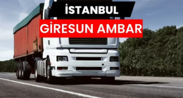 İstanbul’dan Giresun’a Güvenli Taşımacılığın Adresi