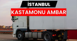 Kastamonu ile İstanbul Arasındaki Lojistik Akışın Anatomisi
