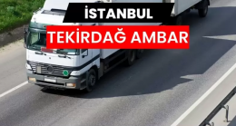 İstanbul Tekirdağ Ambarı Hizmetlerinin Ticaret Zincirindeki Yeri