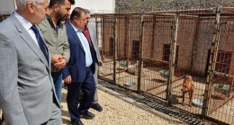 Kilis Belediye Başkanı Ramazan: “Hayvanlar rabbim tarafından bizlere emanet edilmiştir”