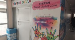 Niğde’de “Diyabet Okulu” açılıyor