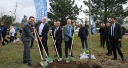 Kocaeli Başiskele’de ağaç fidanları toprakla buluştu