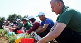 Kocaeli’nde kooperatif ve birliklere hibe desteği başvuruları 22 Nisan’da sona eriyor