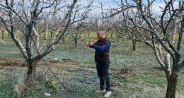 Mudanya İlçe Tarım’dan fenolojik kontrol