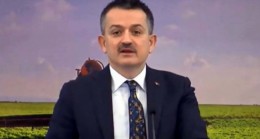 Tarımsal destekler hesaplara yatırılıyor