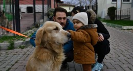 Bursa Osmangazi’de 78 can dost sıcak yuvaya kavuşturuldu