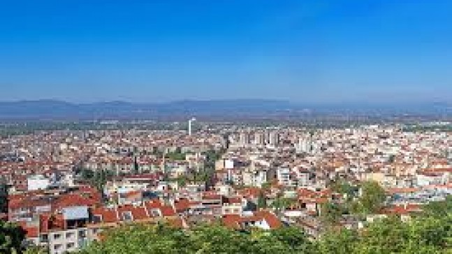 Zirve Ambar ile Profesyonel Yük Taşıma Hizmetleri