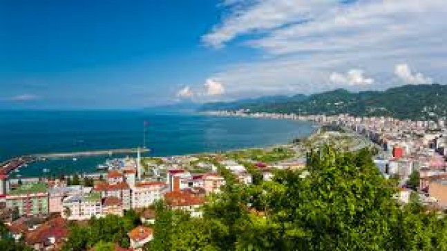 İstanbul Rize Ambarı ile Hızlı ve Güvenli Taşımacılık
