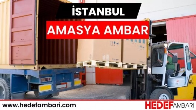 Profesyonel İstanbul Amasya Nakliye Hizmeti Nasıl Alınır?
