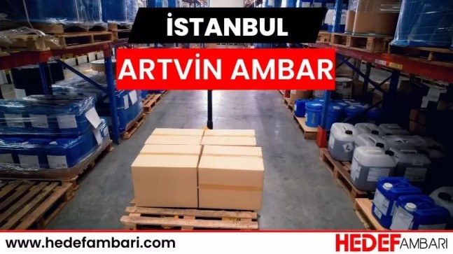 Artvin Nakliyat ve Depolama Çözümleri Neler Sunuyor