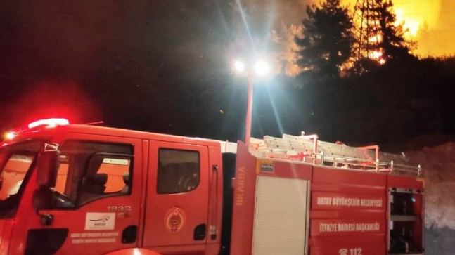 Hatay’da orman yangını