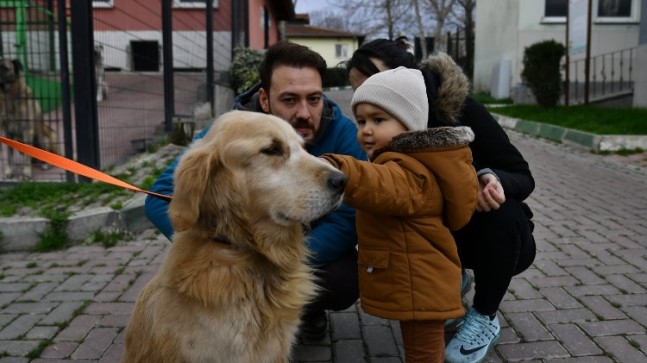 Bursa Osmangazi’de 78 can dost sıcak yuvaya kavuşturuldu