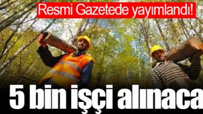 Türkiye geneli, 5 bin yangın işçisi alınacak!