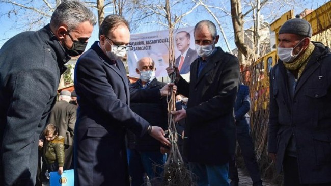 Bilecik’te bin cennet hurması fidanı toprakla buluşacak