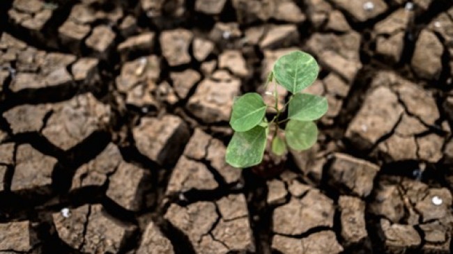 Deprem Korkusu Nasıl Yenilir?