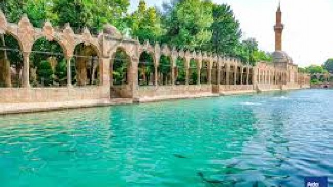 Şanlıurfa Ambar Hizmetlerinde Güvenin Adı Zirve Ambar