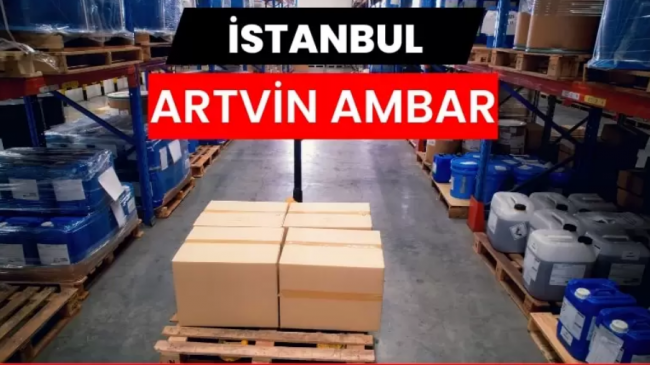 İstanbul Artvin Ambarı ile Bölgesel Lojistikte Yeni Yaklaşım