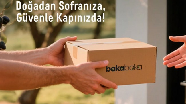 Fındık Fiyatları Karşılaştırmalı Rehber