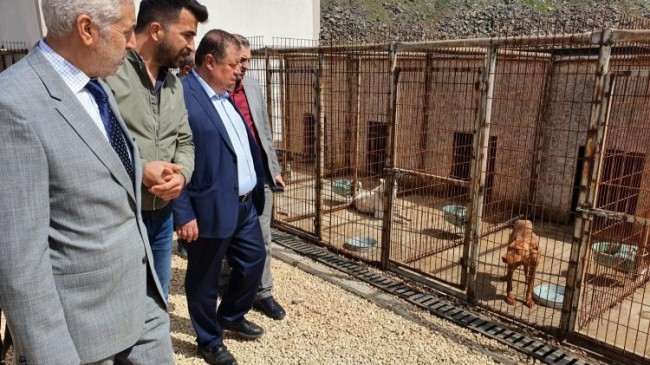 Kilis Belediye Başkanı Ramazan: “Hayvanlar rabbim tarafından bizlere emanet edilmiştir”
