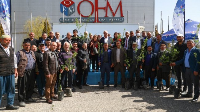 Gaziantep’te hastalığa karşı yeşil altın fıstığa besin desteği!