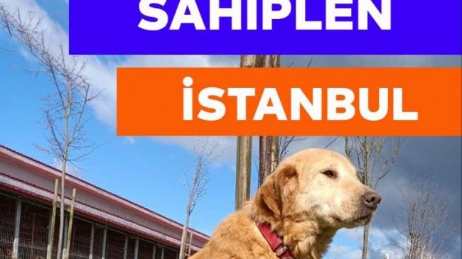 Hayvanseverler 3 Nisan’da Tepeören’de