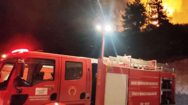 Hatay’da orman yangını