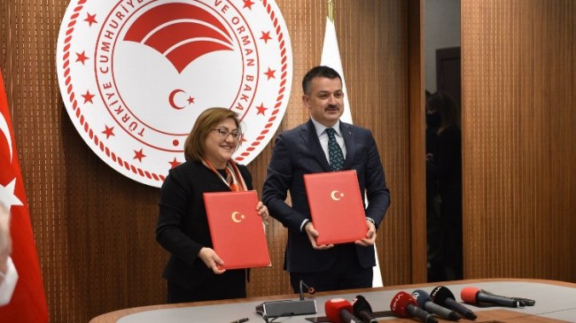 Gaziantep’te aşı desteğini uzmanlar olumlu karşıladı