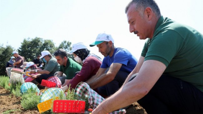 Kocaeli’nde kooperatif ve birliklere hibe desteği başvuruları 22 Nisan’da sona eriyor